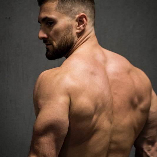 About The ZEUS HI Bodybuilding Ebook