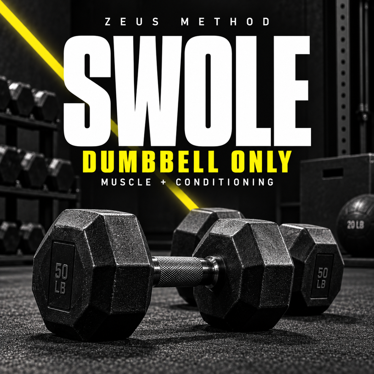 SWOLE eight-week dumbbell program: full and busy-day workouts