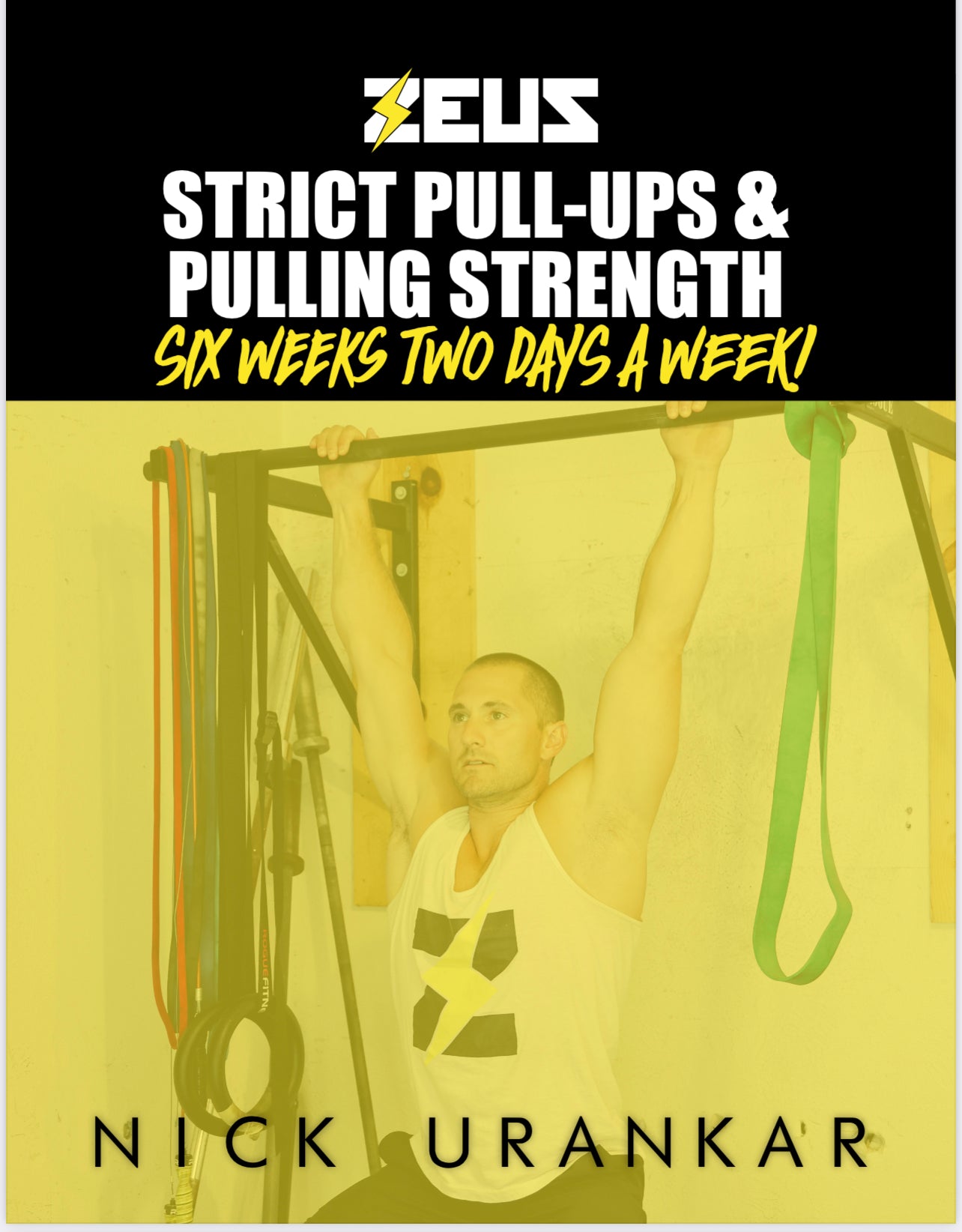 Free 6 Week Pull Up Program